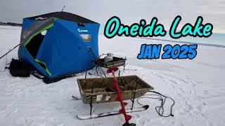 Озеро Онейда | Подледная рыбалка на судака и окуня — январь 2025 года