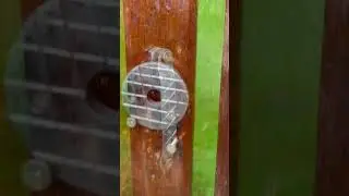Simple idea with gate latch lock # mechanism lock # DIY # Craft metal # New style