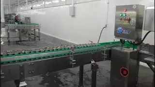 104N-Manual weighing and filling platform (sardines)
