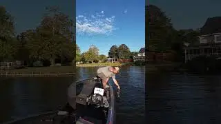 How to Catch Picky Bass (Fishing Tips & Techniques)