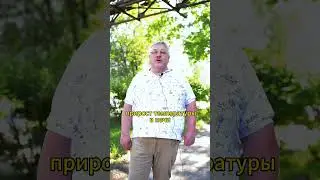 Какие материалы можно считать негорючими? Отвечает эксперт. #огнеза #огнезащита #металл