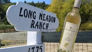 Episode 11: Long Meadow Ranch Winery