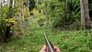 Saison de chasse au gros gibier 2025/2026 (1&egrave;re partie)