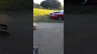 95 cobra with 460 big block swap