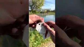 D&eacute;voilement de la Case 5 : Calendrier de P&ecirc;che ! 🎣