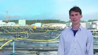 IN-Campus: Innovative approaches for the remediation of a former oil refinery