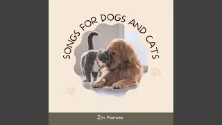 Music to make your dog sleep