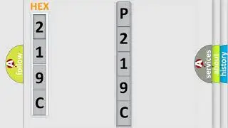 DTC Ford P219C Short Explanation