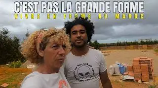 312 - PAS LA FORME  ...