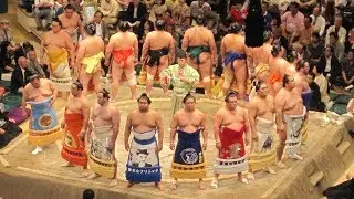 Sumo Tour, Tokyo