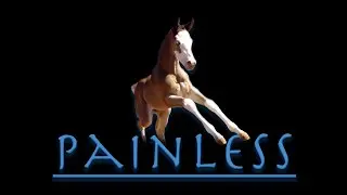 Joint SOS & Painless  SD 480p