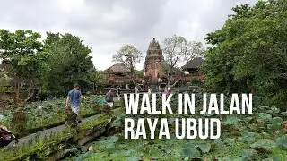 Walking Around jalan raya Ubud.