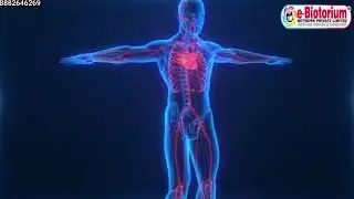 Natural Bio-Magnet no Side effects | e biotorium | e biotorium products | e biotorium business plan