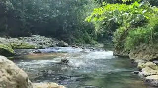 Relaxing Music Relieves Stress, Anxiety and Depression 🌿 Calming Music, Deep Sleep, Heal Mind & Bod
