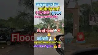 मथुरा वृन्दावन पानीगांव मार्ग open #yt #new #travel #news #today #flood #yamuna ##short #mathura #1k
