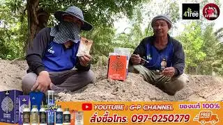 4SOIL โฟร์ซอย 1ซอง สารเสริมประสิทธิภาพสำหรับดิน สูตรเข้มข้น ช่วยลดปัญหาต่าง ๆ ของดิน โทร.097-0250279