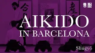 Shugyo: Aikido in Barcelona with Pablo Martin