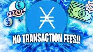 Nano is the BEST Crypto for ZERO FEE Transactions!!