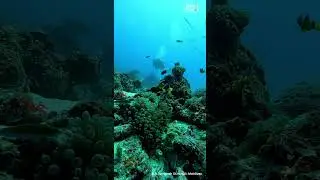 Best luxury travel agent Maldives