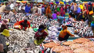 World's busiest fish market scenes only in Cambodia, amazing Cambodian food market scenes