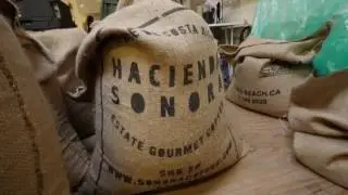 Coffee in Sacramento, California