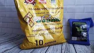 Грунт для глоксиний!