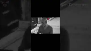 Настоящие вампиры попали на камеру? 🧛🏾&zwj;♂️🦇 #Shorts