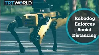 Singapore uses robots as coronavirus lockdown enforcers