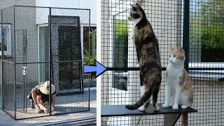 We Love Our New Catio 😻 A Cat Safe Outdoor Space