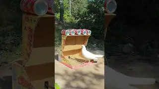 effective pigeon trapping techniques create form paper box #shortvideo #ytshorts #shorts