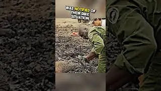 These elephants were counting their last moments 🥺 #shorts