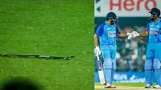 Big Snake Enters in Ground Between India vs South Africa match | INDvsSA 2nd T-20