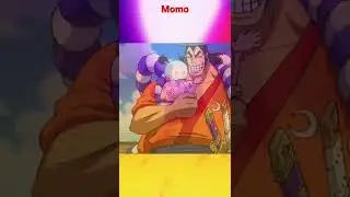 MOMO&rsquo;s Character Development | One Piece #shorts