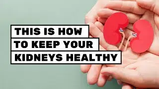 Как сохранить здоровье почек с помощью этих 7 эффективных привычек