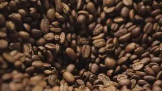 ★★★ Comprar C&aacute;psulas ➤ C&aacute;psulas Compatibles Nespresso ★★★