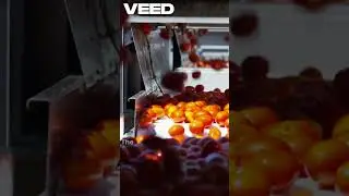 how tomato ketchup is made in a factory | tomato ketchup production process #ytshorts #shorts #food