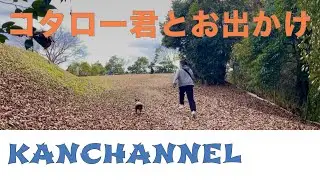 2026年1月 コタロー君とお出かけ
