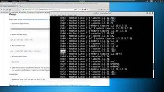 4 Exploitation Basics - Manual Exploitation