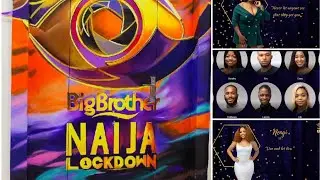 Big Brother Naija Lockdown (Season 5) Housmates! All you need to know About Them (Full Gist!)