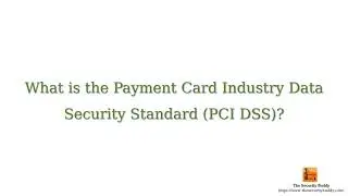 What is the Payment Card Industry Data Security Standard (PCI DSS)?