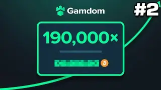 A World Record Crash Gave Us Profit
