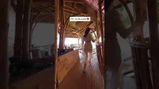 POV : You Booked A Private Villa in Bali ❤️ | Luxury Couple Honeymoon Package #shorts #bali