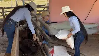Na lida! 🤠