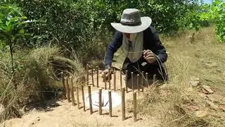 Primitive Technology - Awesome Quick Parrot Trap Using Plastic U 90 Tank and Parrot Nest