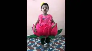 Lovely Lotus Flower