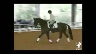 USDF 1994 National Symposium: Warming up at the Prix St  Georges Level