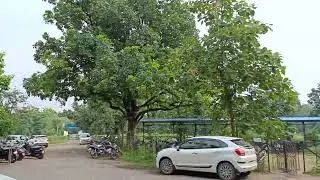 GEC BILASPUR CAMPUS ❤️😍