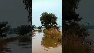 nature #river #nature #beutiful