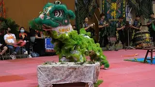 2021 Phoenix Wushu Nationals + USDLDF judges Lion Dance Championships #1 TCT Team Yoshi GH5 Mark II