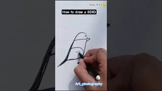 how to draw bird 🦜 easy trick #birds#drawing#tricks#easyrecipe#drawingforkids#youtubeshorts